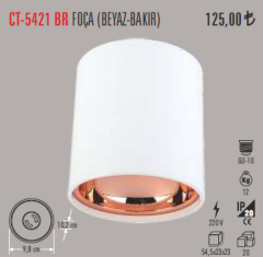 CATA Foça Sıva Üstü Spot Armatür Beyaz+Bakır CT-5421BR